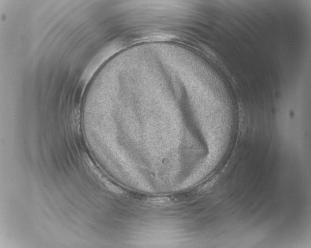 X0000051881186200507151904