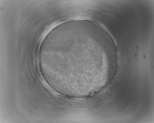 X0000051881187200507151904