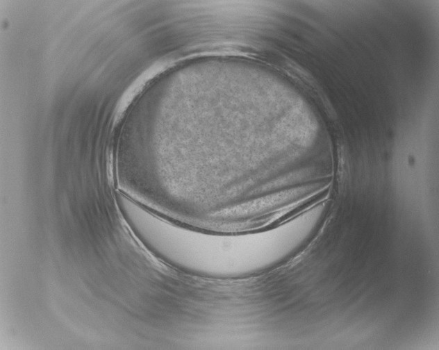 X0000051881188200507151904