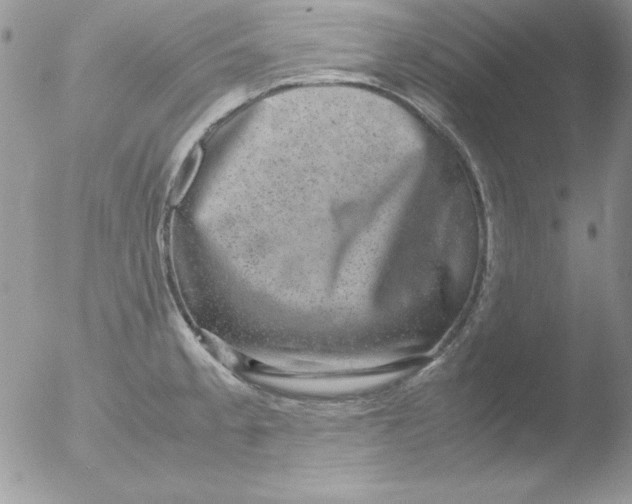 X0000051881189200507151904