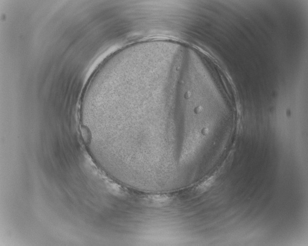 X0000051881190200507151904