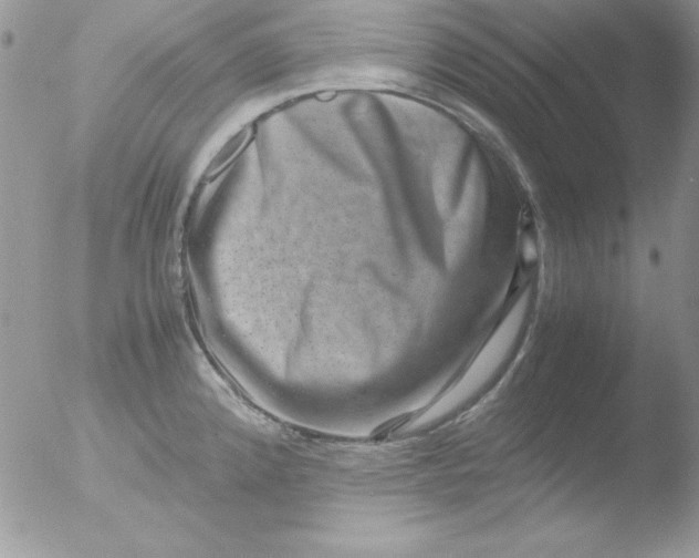 X0000051881192200507151904