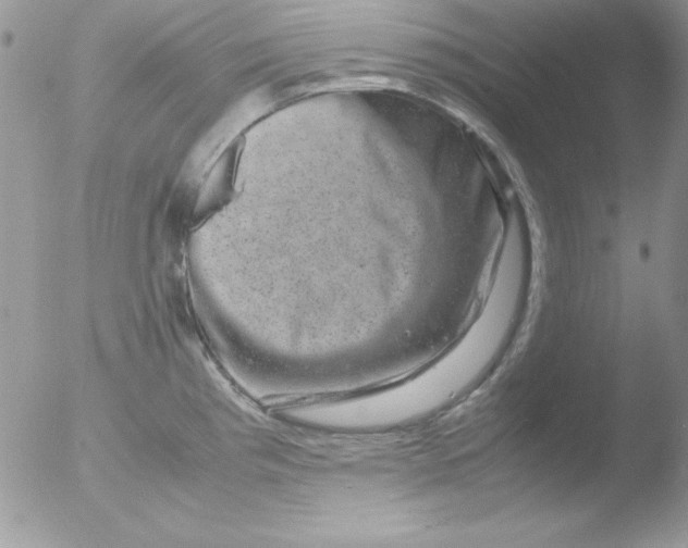 X0000051881193200507151904