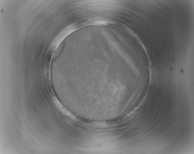 X0000051881194200507151904