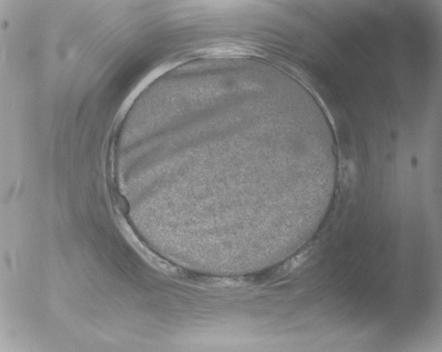 X0000051881195200507151904