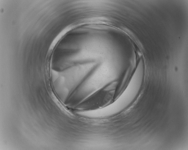 X0000051881196200507151904