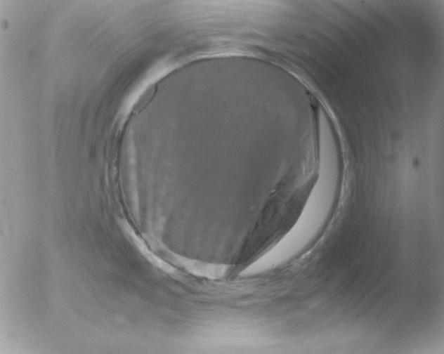 X0000051881197200507151904