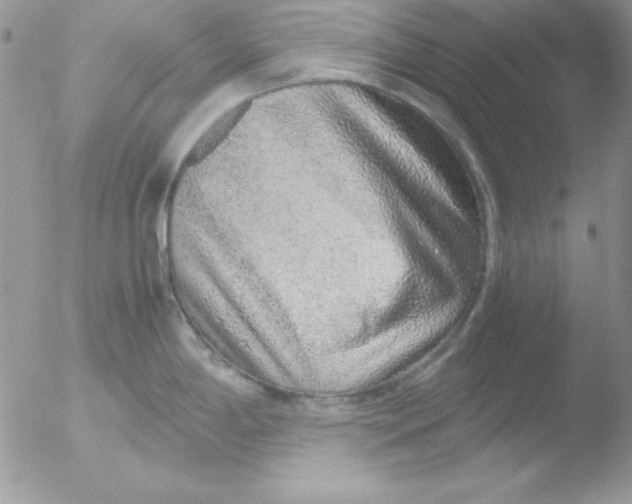 X0000051881198200507151904