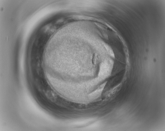 X0000051881199200507151904