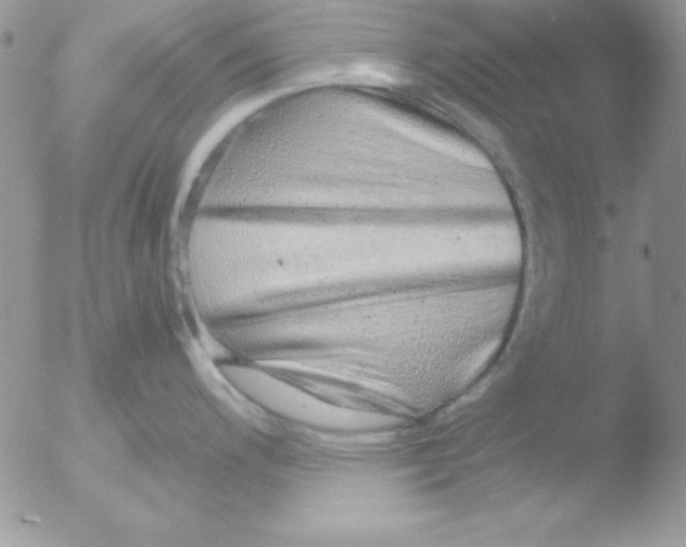 X0000051881200200507151904