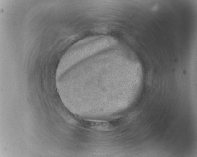 X0000051881201200507151903