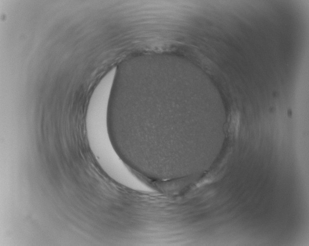 X0000051881202200507151903