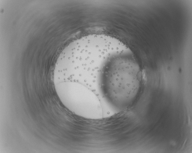 X0000051881203200507151903