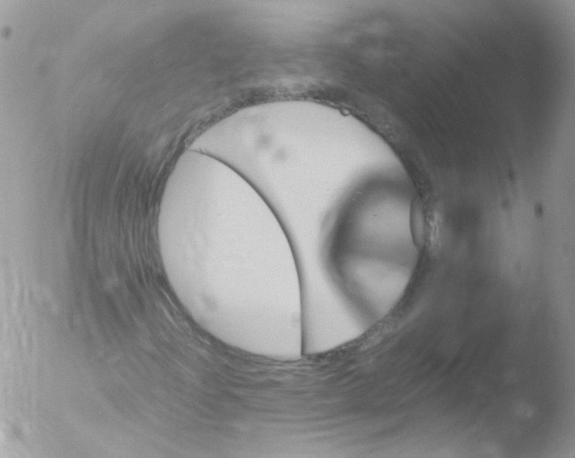 X0000051881204200507151903