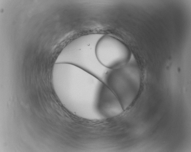 X0000051881205200507151903