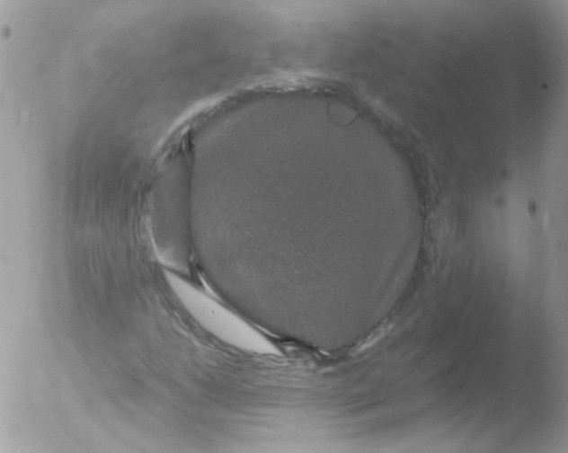 X0000051881206200507151903