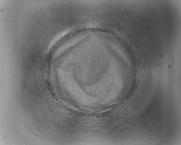 X0000051881207200507151903