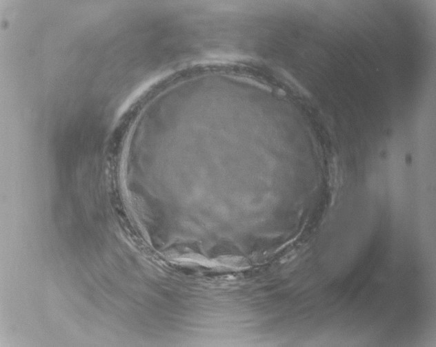 X0000051881208200507151903