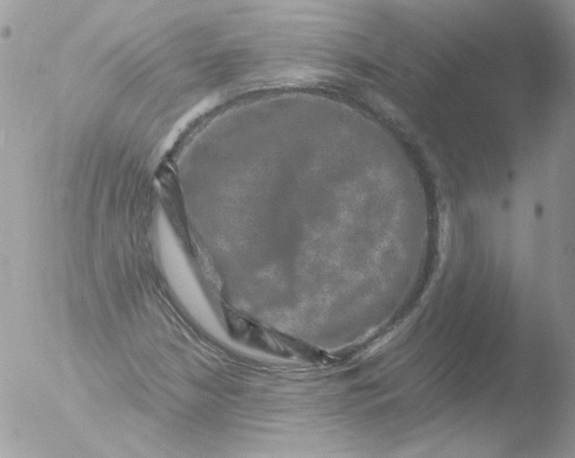 X0000051881210200507151903