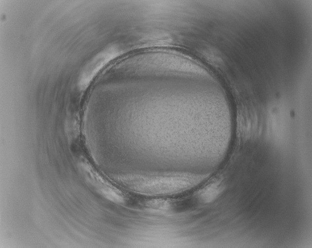 X0000051881212200507151903