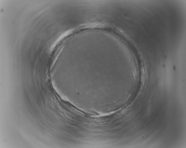 X0000051881213200507151903