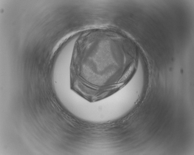 X0000051881214200507151903