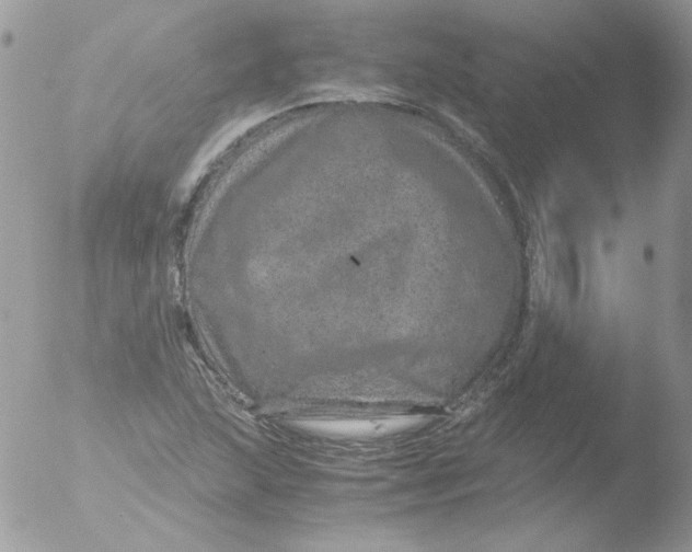 X0000051881215200507151903