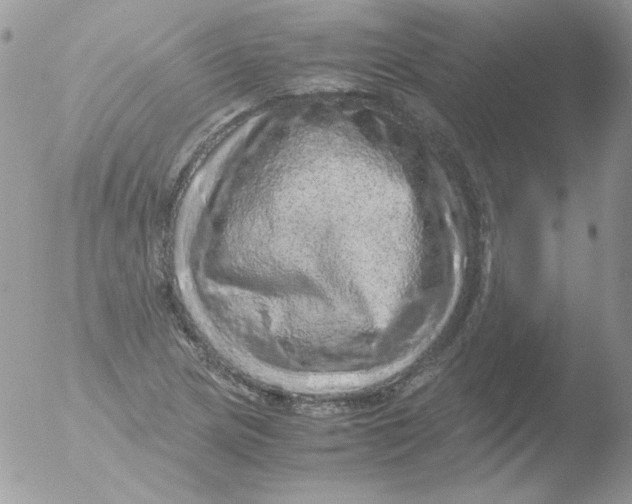 X0000051881217200507151904