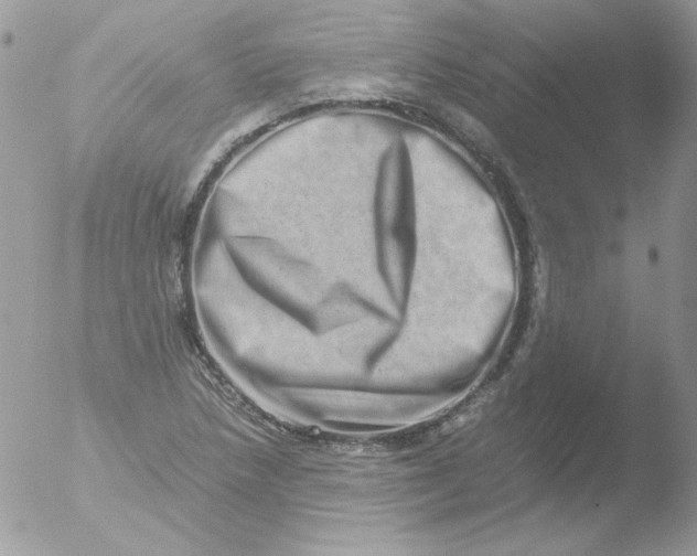 X0000051881218200507151904