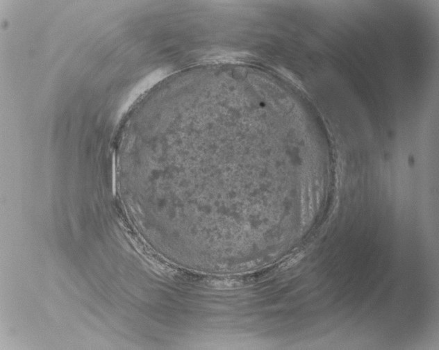 X0000051881219200507151904