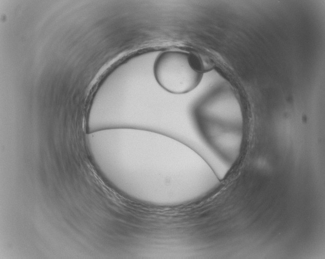 X0000051881220200507151904