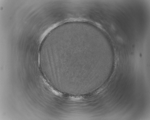 X0000051881221200507151904