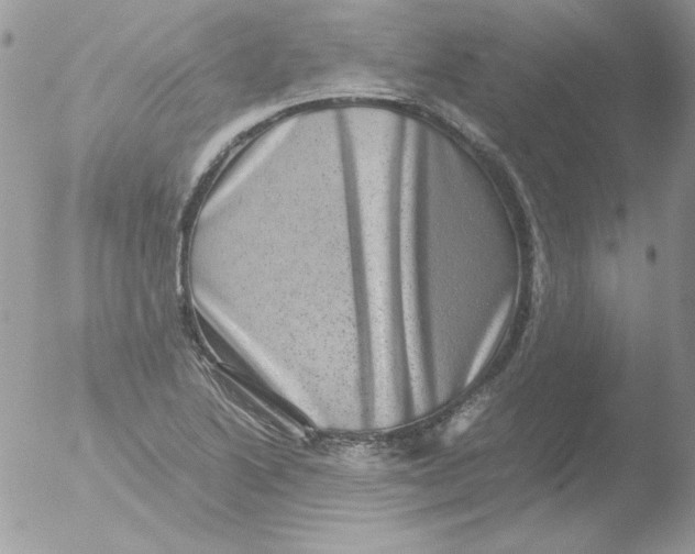 X0000051881222200507151904