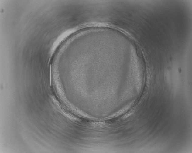 X0000051881223200507151904