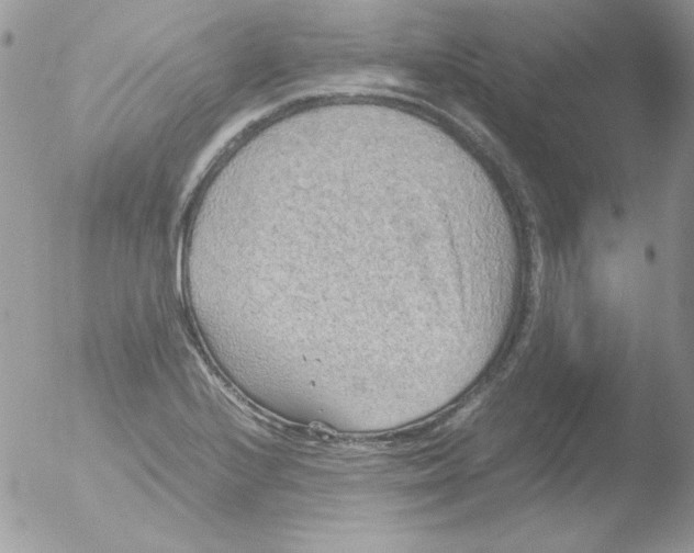 X0000051881224200507151904