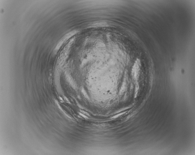 X0000051881225200507151904