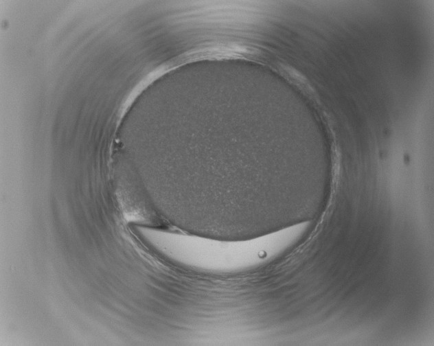 X0000051881226200507151904