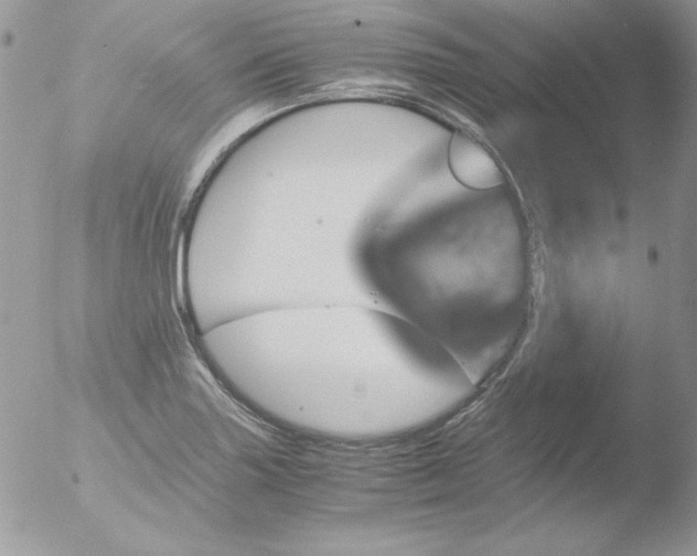 X0000051881227200507151904