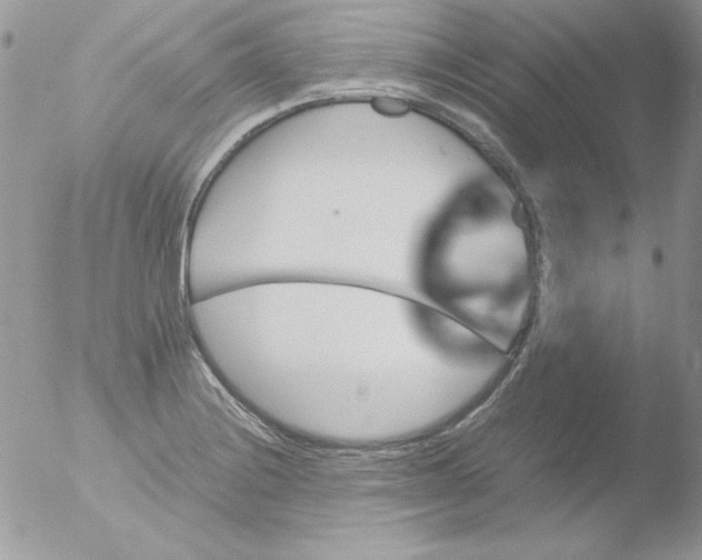 X0000051881228200507151904