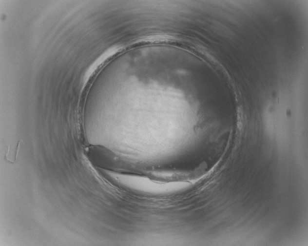 X0000051881229200507151904