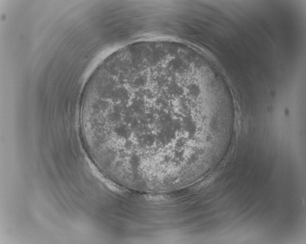 X0000051881231200507151904