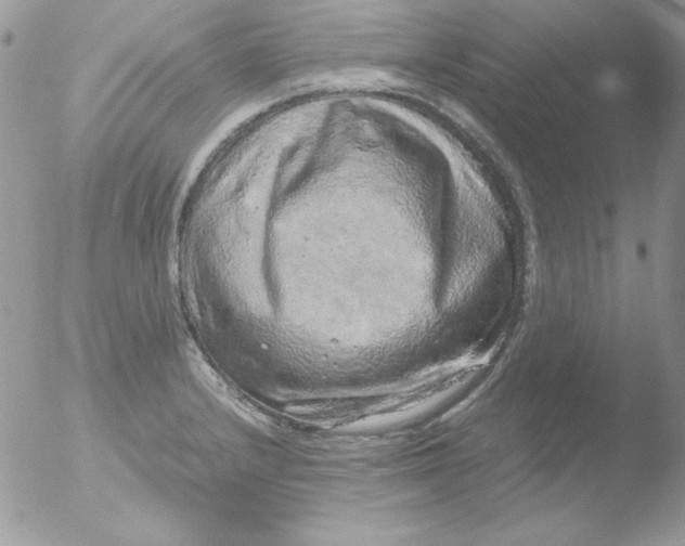 X0000051881232200507151904