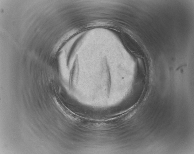 X0000051881233200507151904