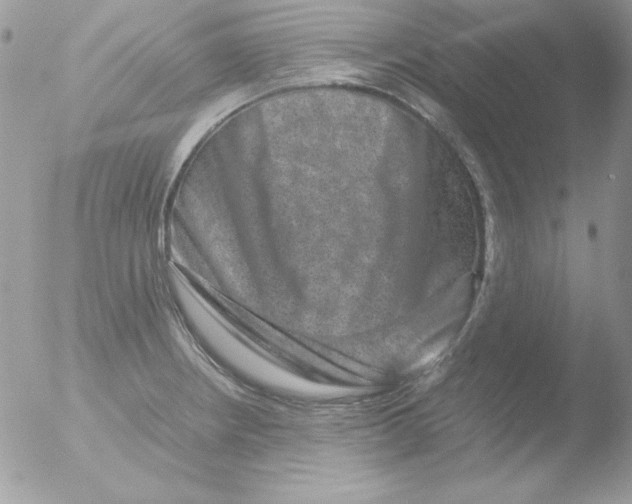 X0000051881234200507151904