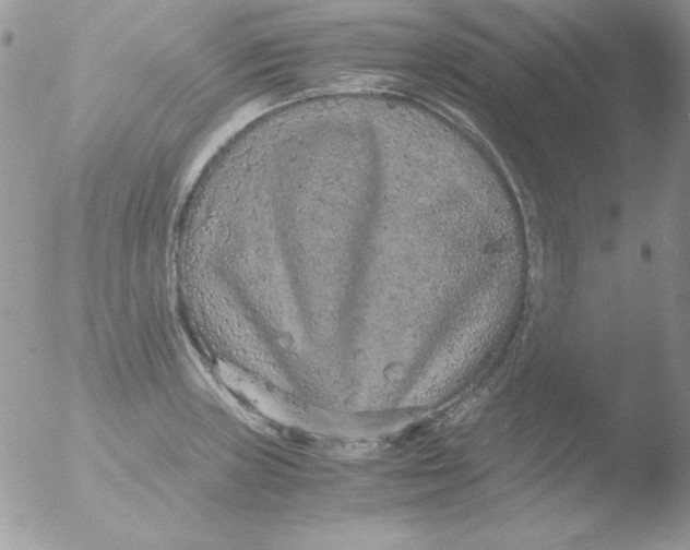 X0000051881235200507151904