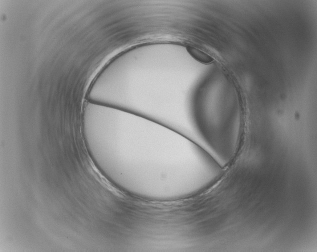 X0000051881236200507151904