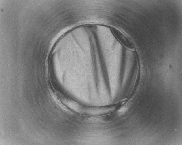 X0000051881238200507151904