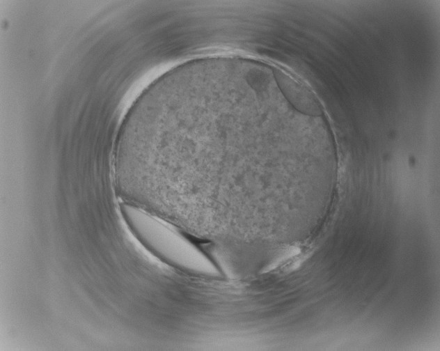 X0000051881239200507151904