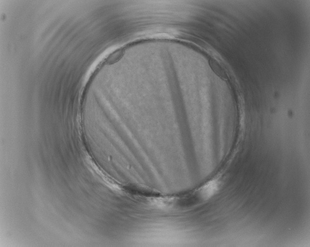 X0000051881240200507151904