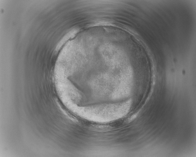 X0000051881241200507151904